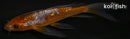 5.25" GINRIN OCHIBA SHIGURE BUTTERFLY