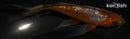 5.25" GINRIN OCHIBA SHIGURE BUTTERFLY