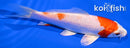 5.25" HARIWAKE