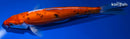 8.75" DOITSU SANKE