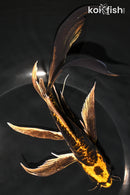 8.75" KIN KIKOKURYU BUTTERFLY