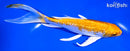 7.5" GINRIN HARIWAKE BUTTERFLY