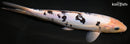 9" DOITSU SHIRO BEKKO