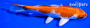 6.25" HARIWAKE