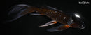 9.5" GINRIN OCHIBA SHIGURE BUTTERFLY