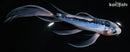 8.5" SHUSUI BUTTERFLY