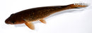6.75" GINRIN CHAGOI
