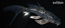6.75" GINRIN METALLIC OCHIBA SHGIURE BUTTERFLY