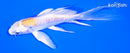 5" DOITSU LEMON HARIWAKE BUTTERFLY
