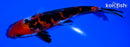 5.5" DOITSU SANKE