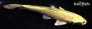 6.75" KIN KI MATSUBA
