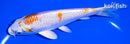 5.75" HARIWAKE
