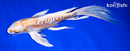 9.75" KIKUSUI BUTTERFLY
