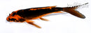 4.75" DOITSU ORENJI MATSUBA BUTTERFLY