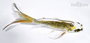 6.25" GINRIN KUJAKU BUTTERFLY
