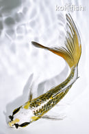 6.25" GINRIN KUJAKU BUTTERFLY