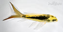 5.25" KIN KIKOKURYU BUTTERLFY
