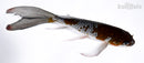 7.5" GINRIN OCHIBA SHIGURE BUTTERFLY