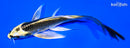 5.5" KI MATSUBA BUTTERFLY