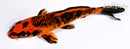 6.25" ORENJI MATSUBA