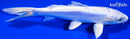 6.25" DOITSU PLATINUM OGON