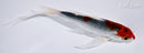 6.25" GOSHIKI BUTTERFLY