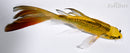 5.75" GINRIN KIN KI MATSUBA BUTTERFLY