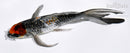 5.5" GINRIN SHOWA BUTTERFLY