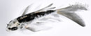 4.75" KIKOKURYU BUTTERFLY