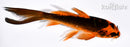 5.25" ORENJI MATSUBA BUTTERFLY