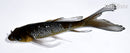 5" GINRIN OCHIBA SHIGURE BUTTERFLY