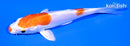 4.25" KIKUSUI