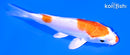 4.25" KIKUSUI