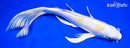 10" LEMON HARIWAKE BUTTERFLY