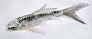4.25" KIKOKURYU BUTTERFLY