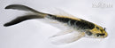 4.5" KIN KIKOKURYU BUTTERFLY
