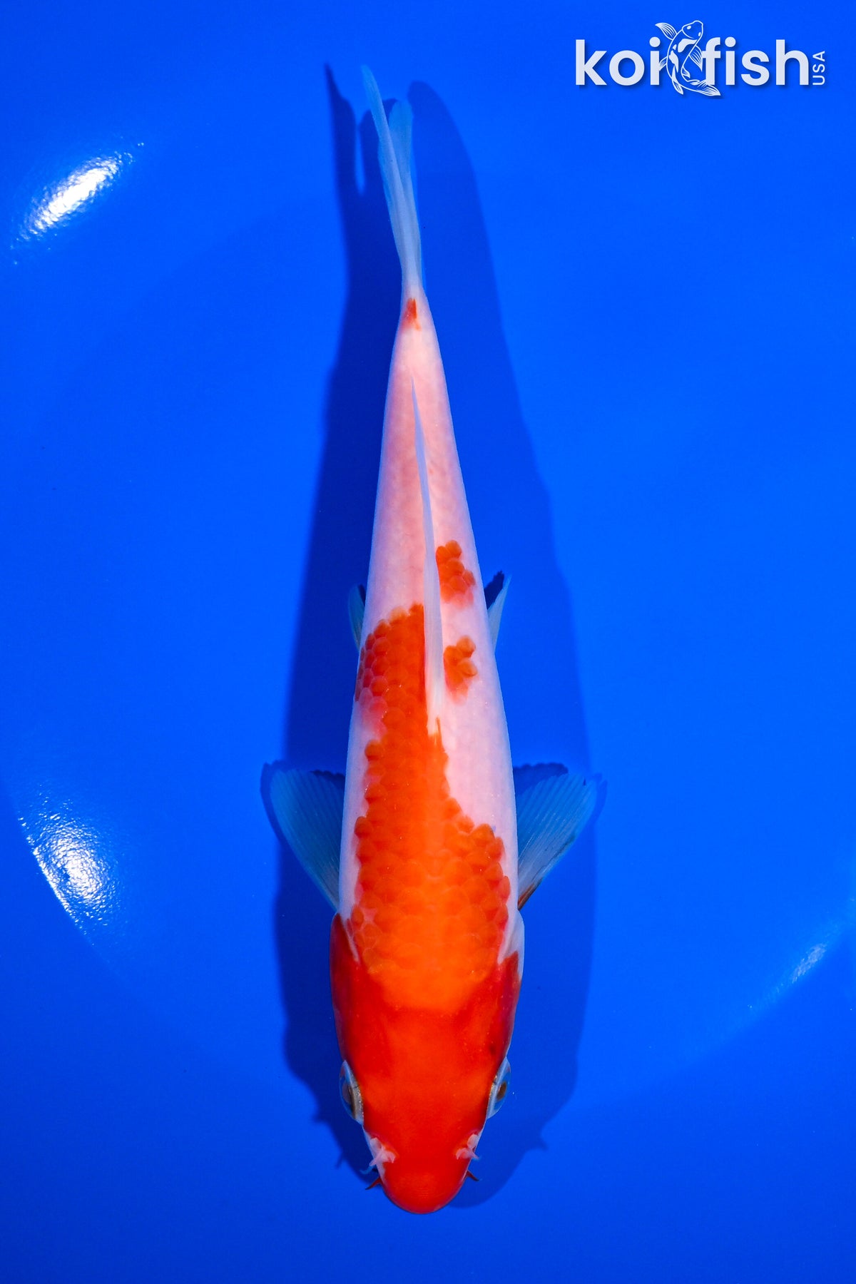 6.75