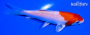 4.25" HARIWAKE