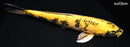 15.5" KI UTSURI