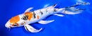 11" YAMATO NISHIKI BUTTERFLY