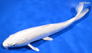 10" PLATINUM OGON