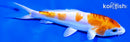 5.75" KIKUSUI