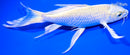 7.75" YAMABUKI OGON BUTTERFLY