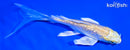 5.25" GINRIN LEMON HARIWAKE BUTTERFLY