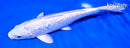 7.25" GINRIN PLATINUM OGON