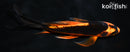 6.5" ORENJI MATSUBA BUTTERFLY