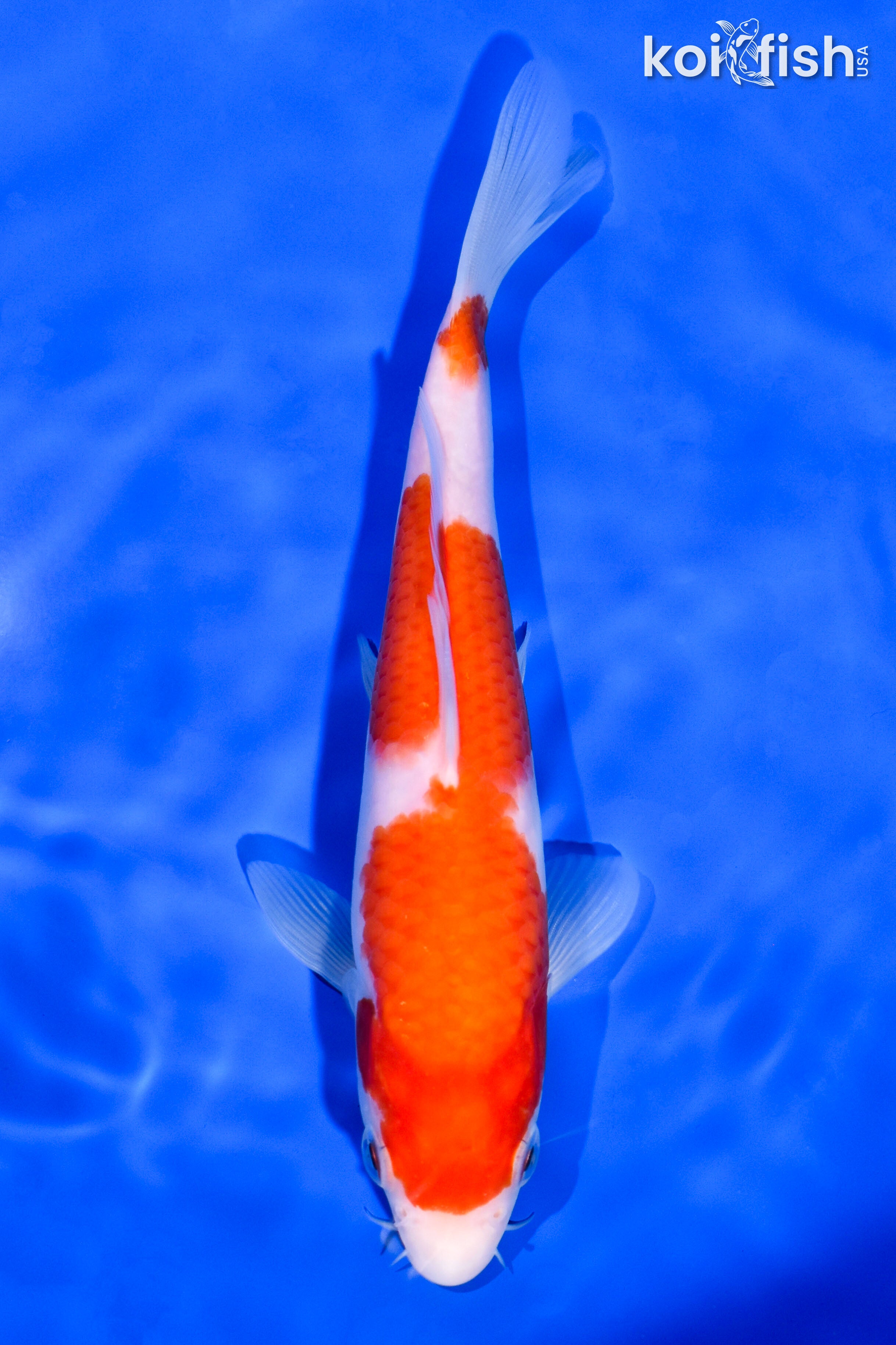 6.75