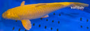 14" METALLIC CHAGOI